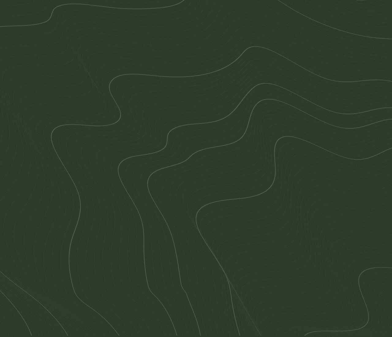 https://elevaretorres.com.br/wp-content/uploads/2020/02/green-background-1280x1100.jpg